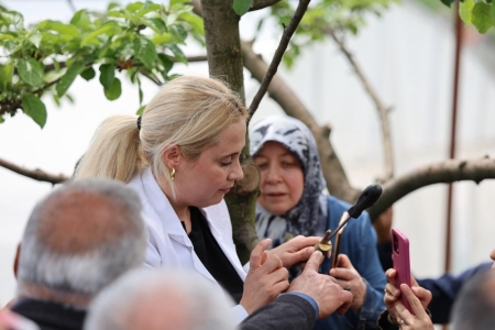 Safranbolu Belediyesi